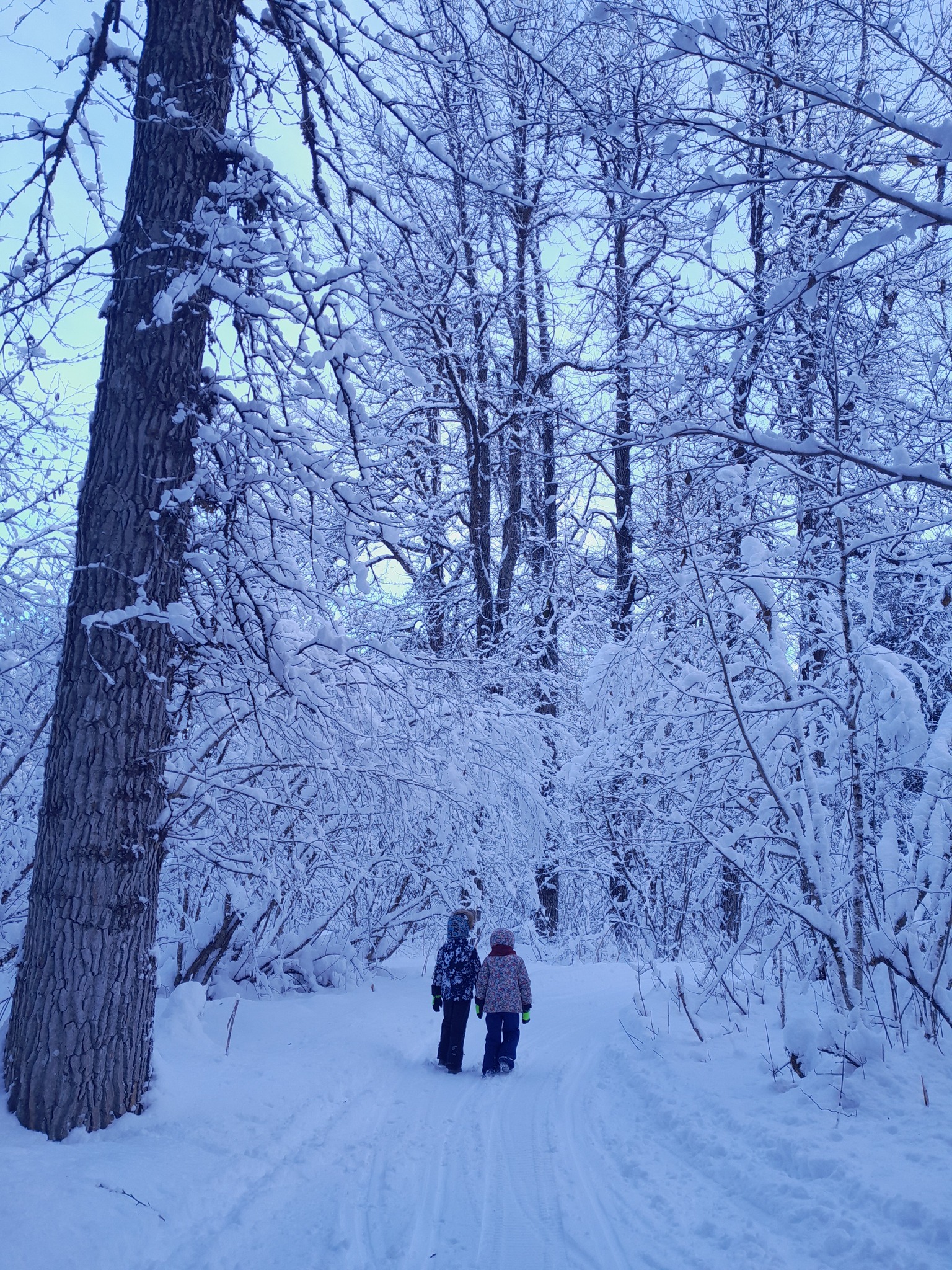 Bear lake trail