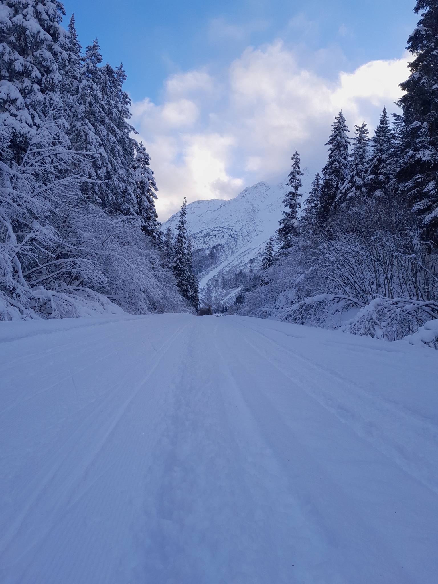 Exit glacier road, nordic ski