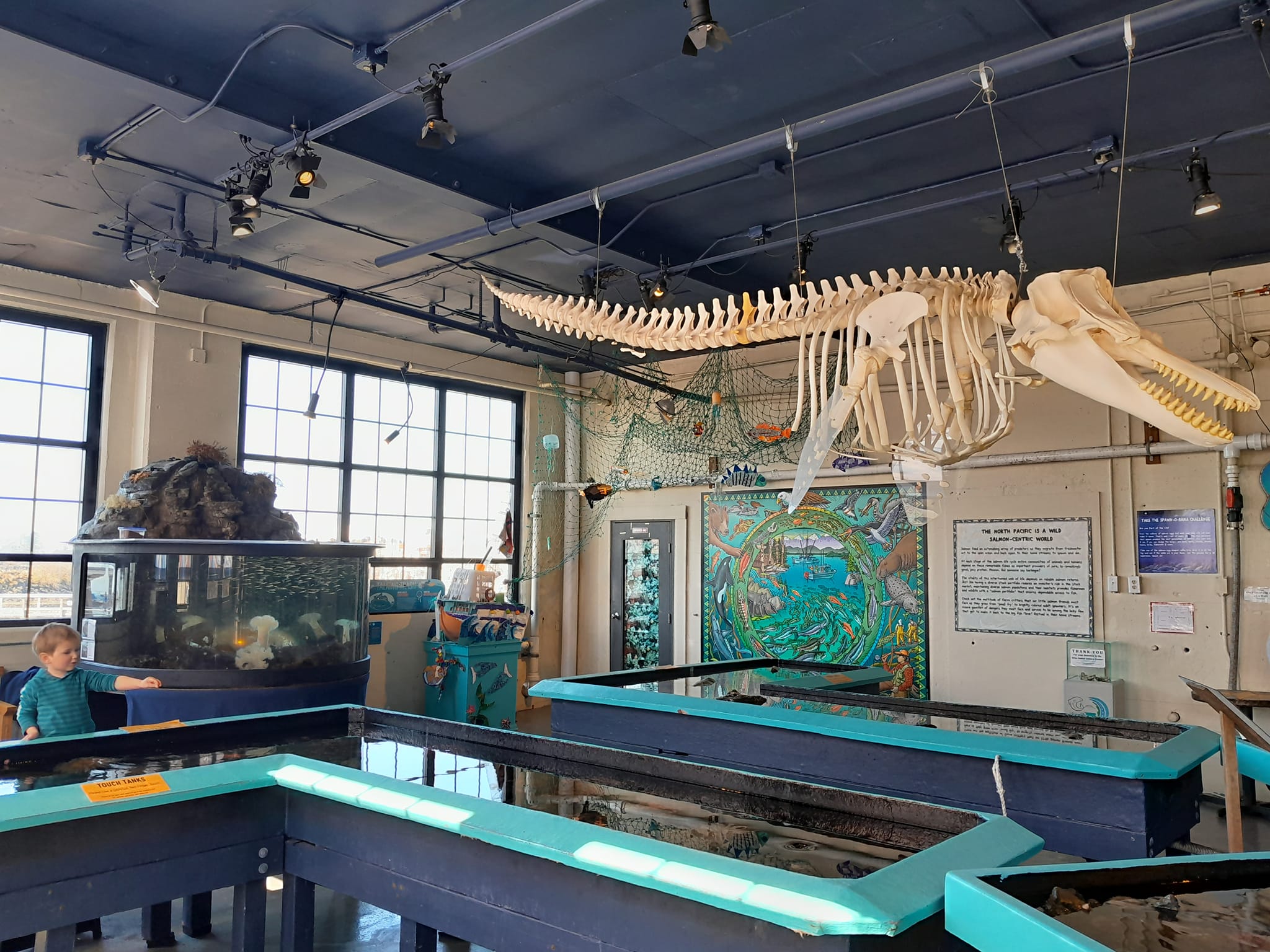 Sitka science center