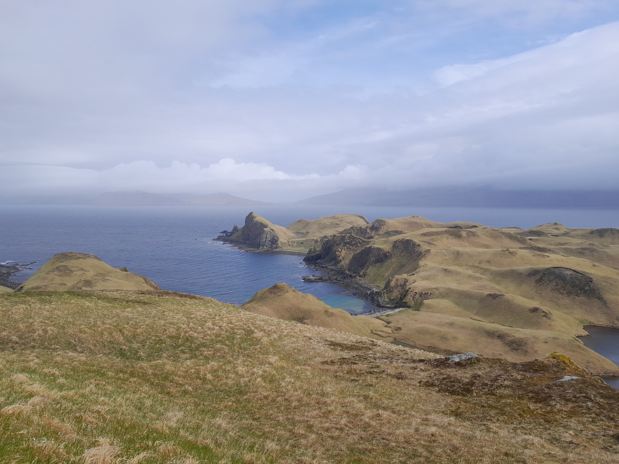 Atka island