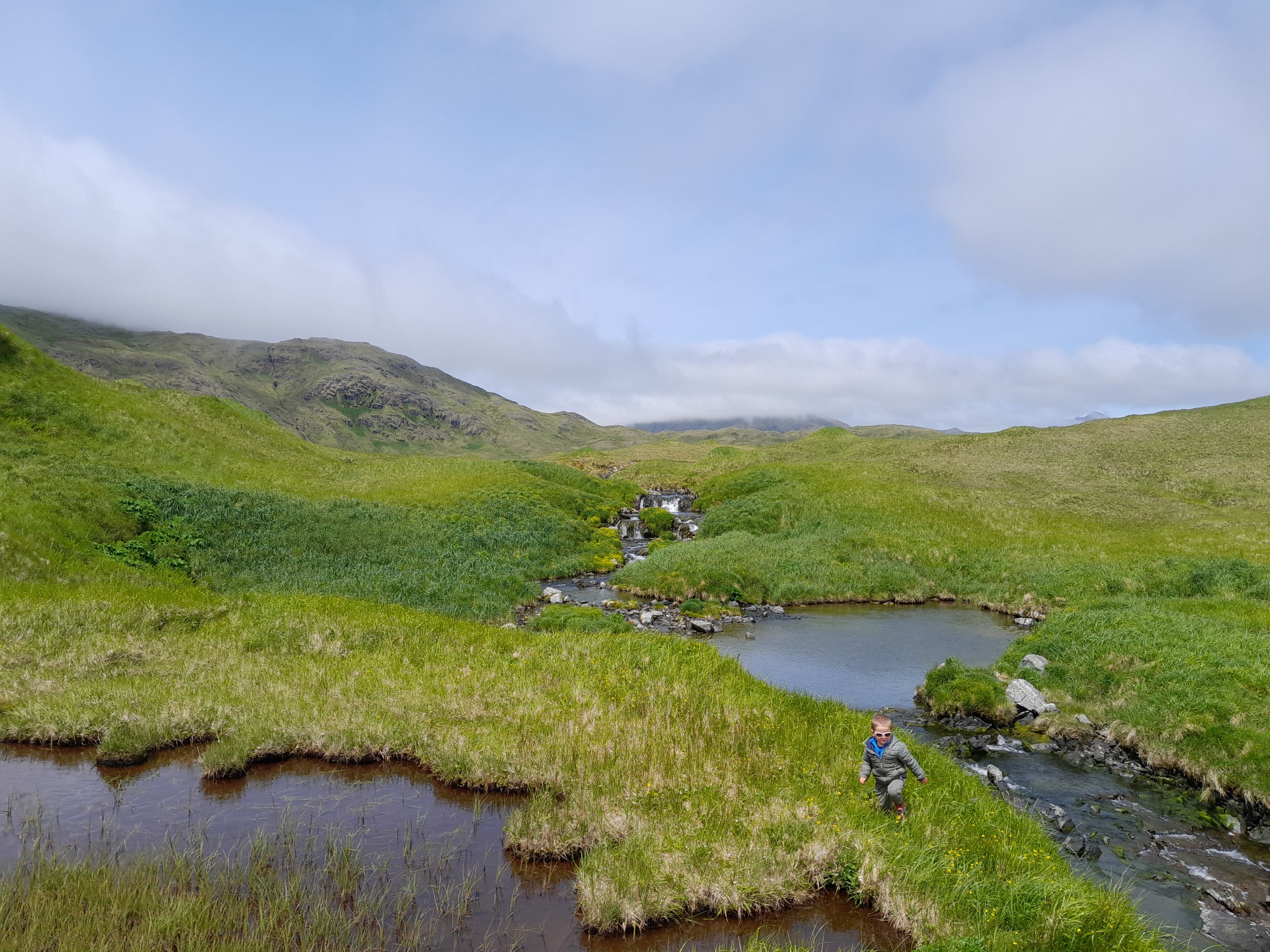 Quail cove, Kagalaska