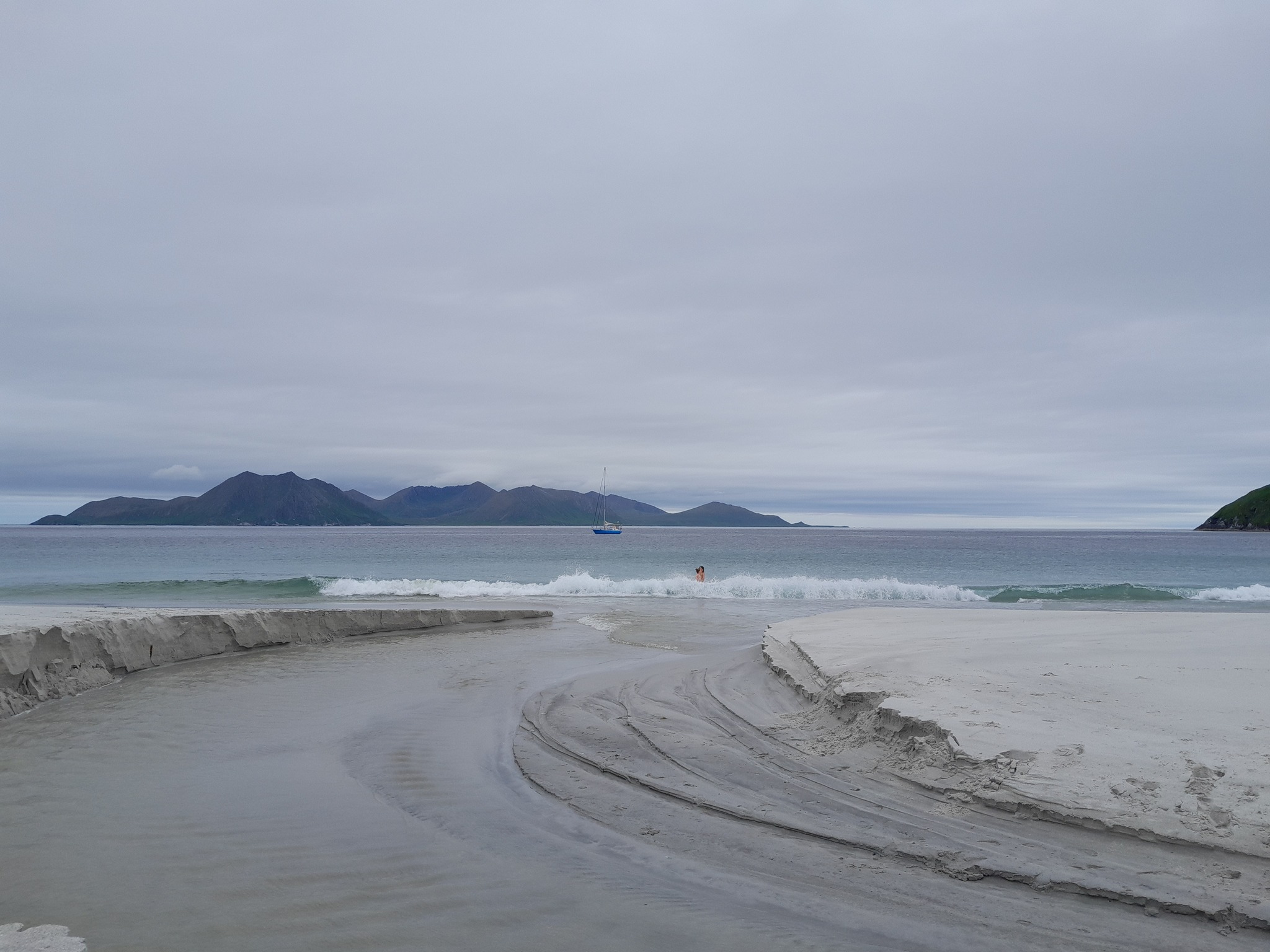 Baignade dans les vagues, Bird Island