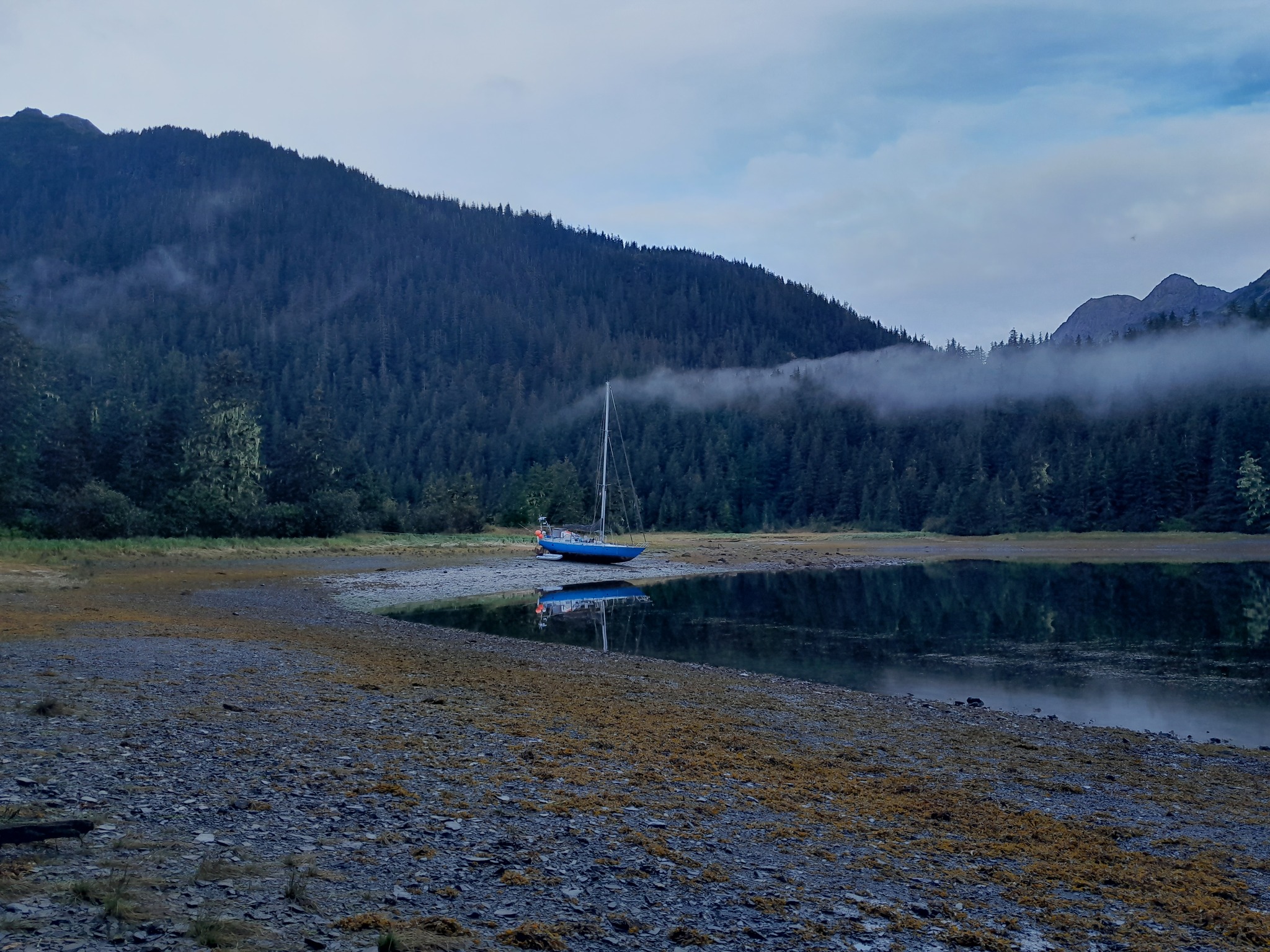 Sawmill bay