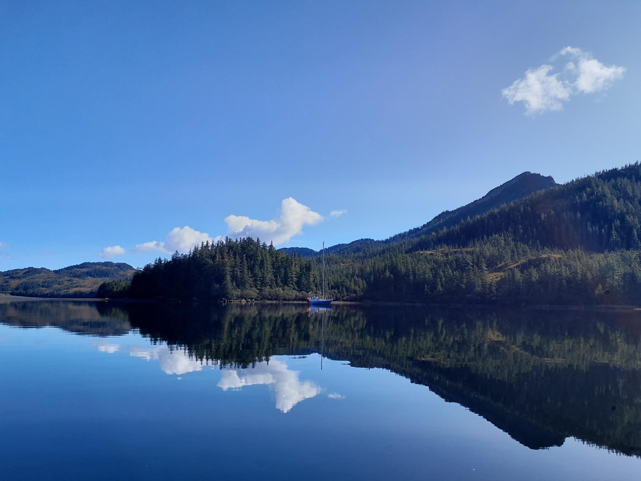 Fox farm bay, Prince William Sound