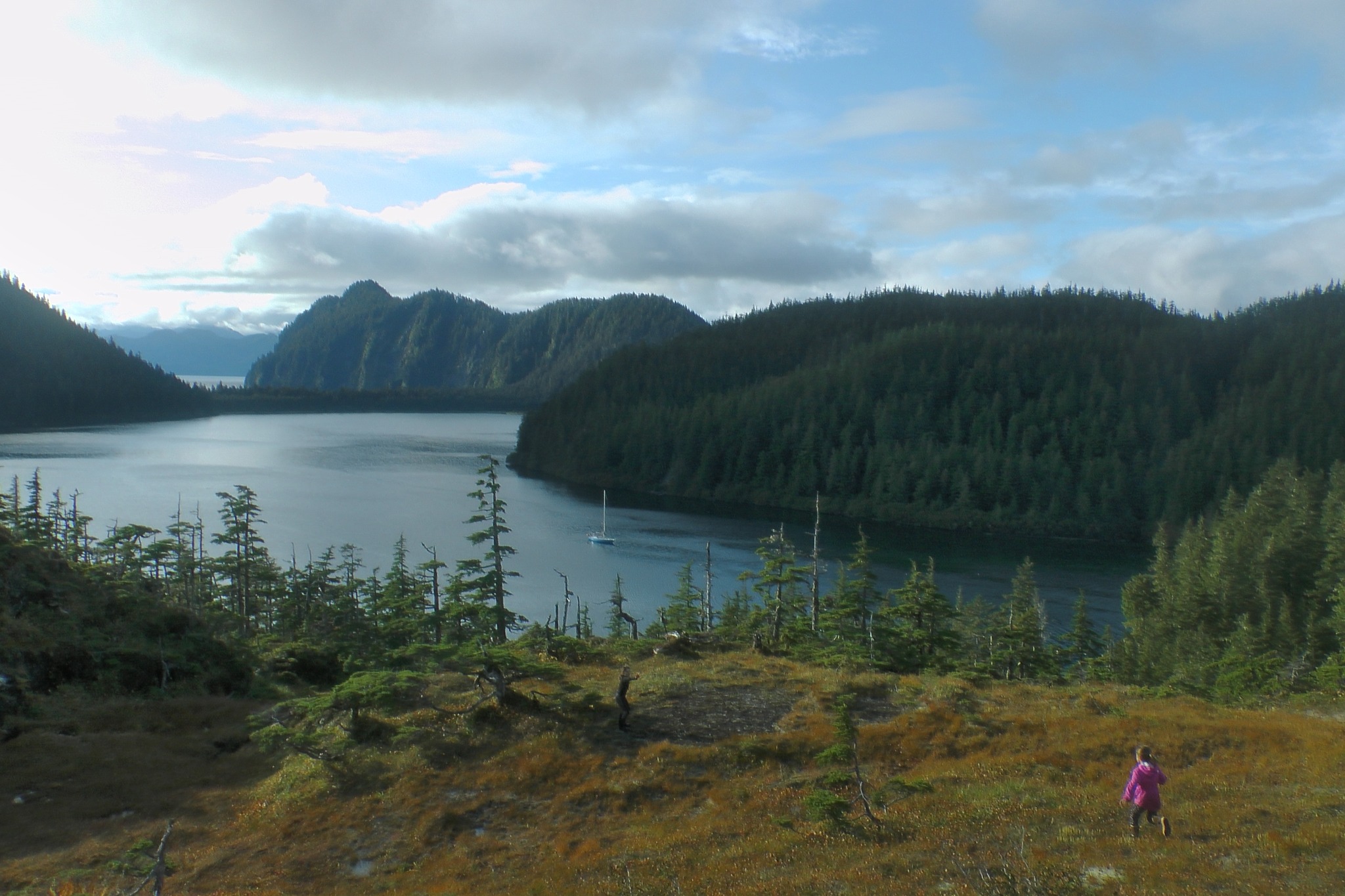 Fox Farm bay, Prince William Sound