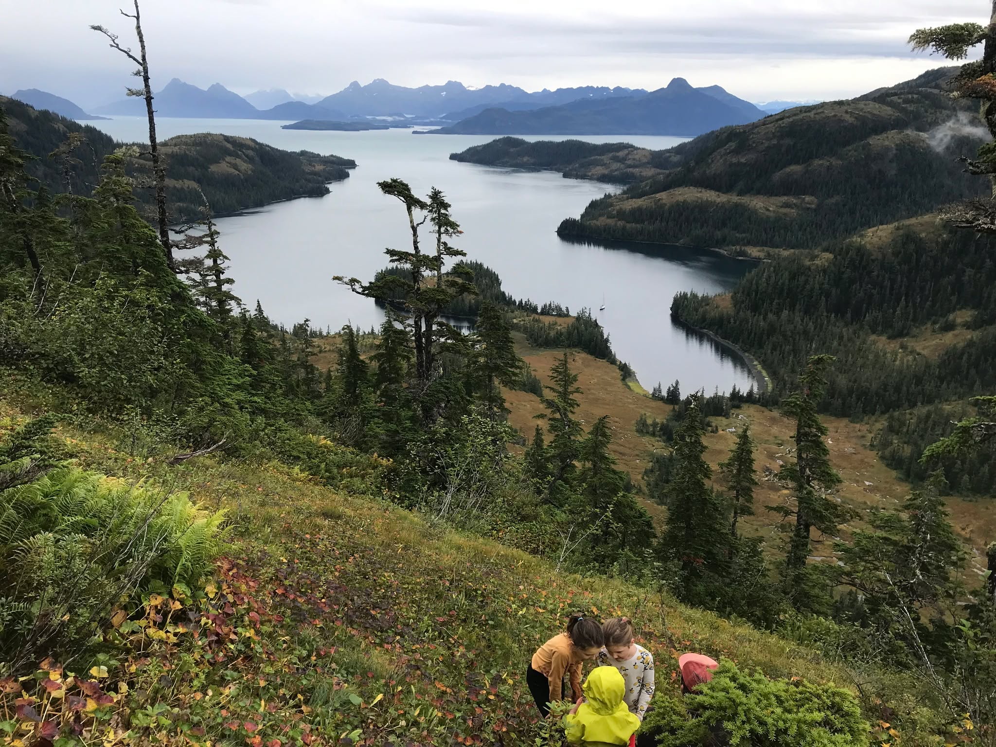 Growler bay, glacier island