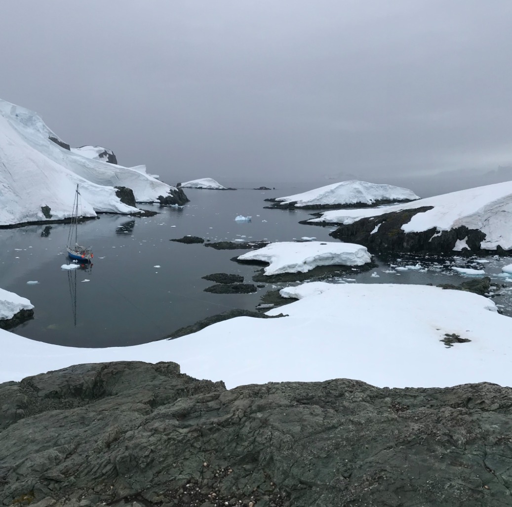 Antarctique